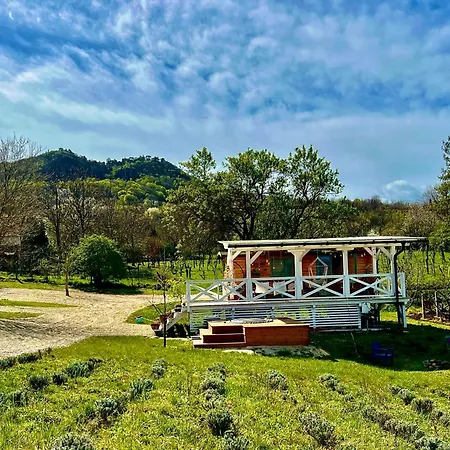 Apartment Bohemian Eco At Balaton *