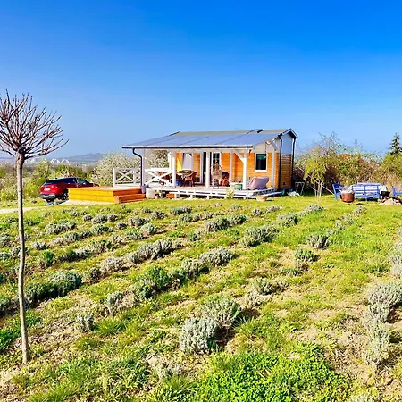Bohemian Eco At Balaton Kisapati