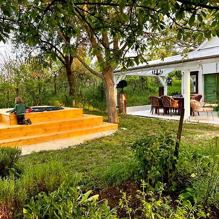 Bohemian Eco At Balaton Apartment