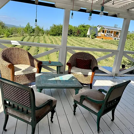 Bohemian Eco át Balaton *