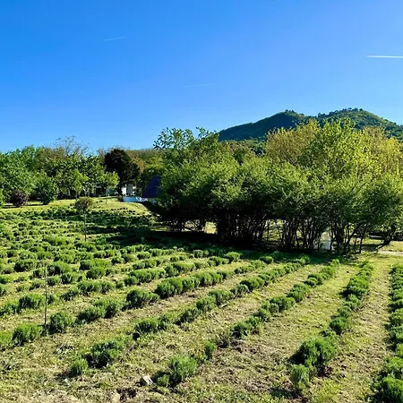 Bohemian Eco át Balaton Appartamento Kisapati