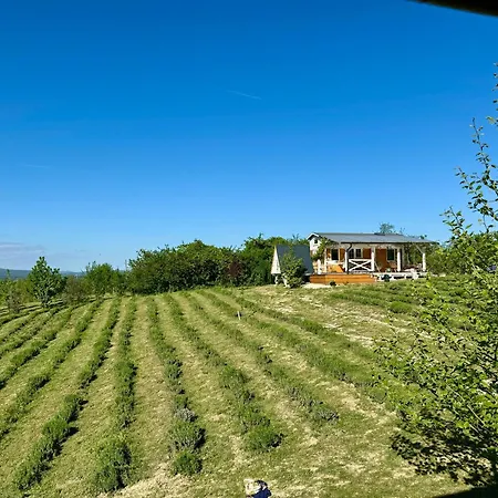Bohemian Eco At Balaton * Kisapati